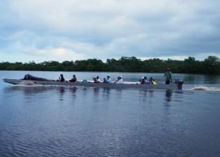 IHS dugout transports half a team up the Kruta River in Honduras.